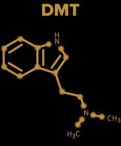 DMT